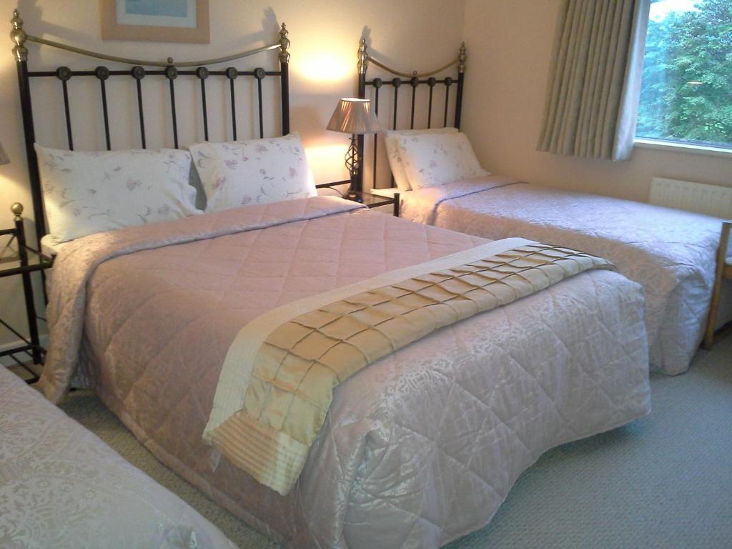 Fern Rock Bed And Breakfast Dromin 部屋 写真