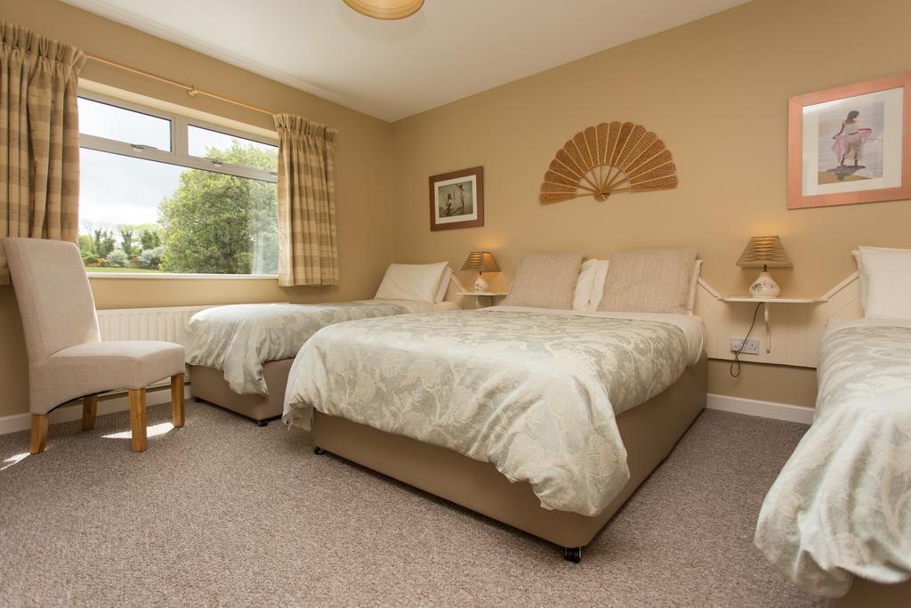 Fern Rock Bed And Breakfast Dromin エクステリア 写真